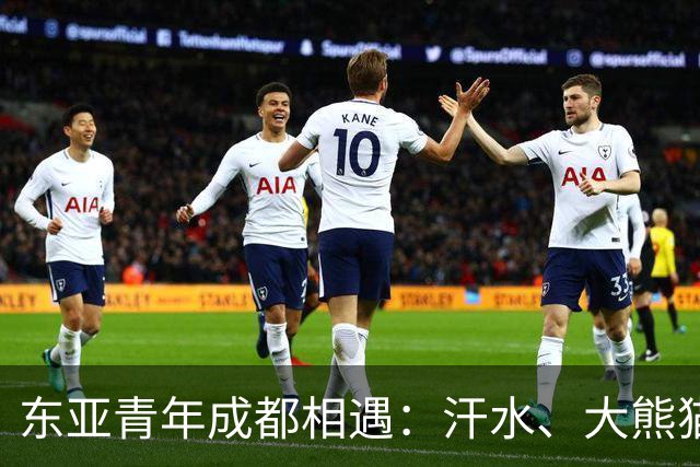 东亚青年成都相遇：汗水、大熊猫与友谊